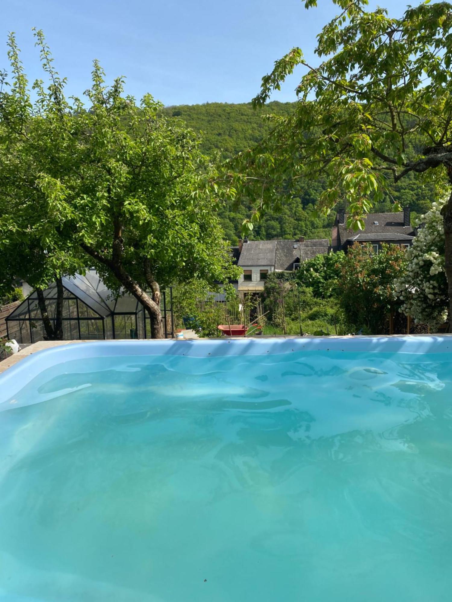 Pension Mit Moselblick Klotten Εξωτερικό φωτογραφία